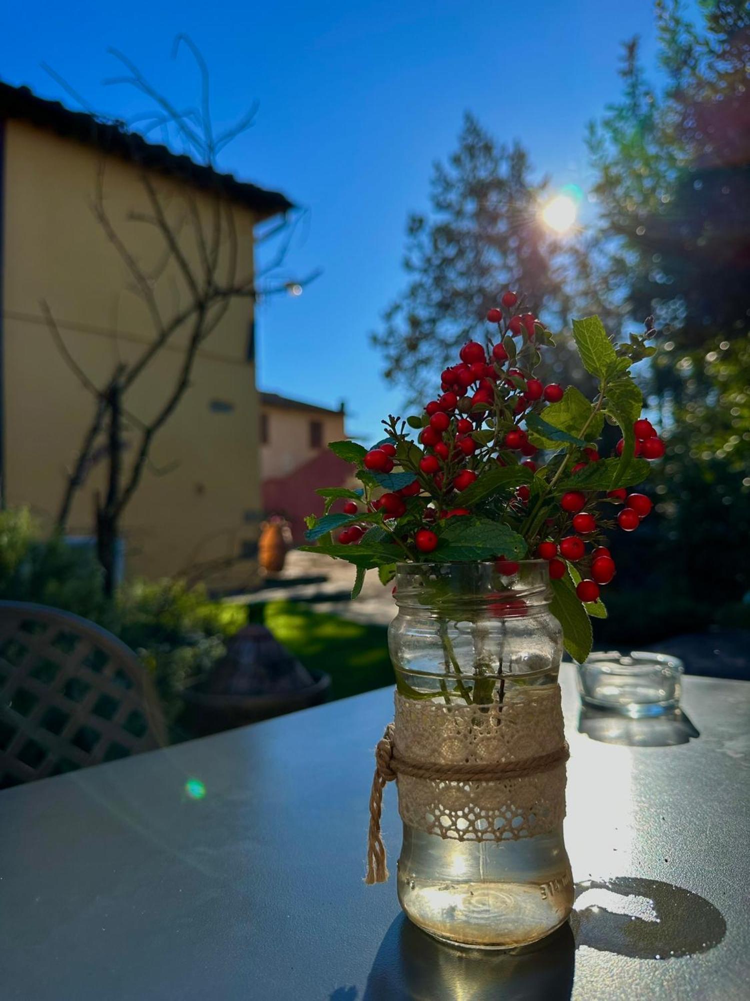 Casa Alle Vacche * San Gimignano