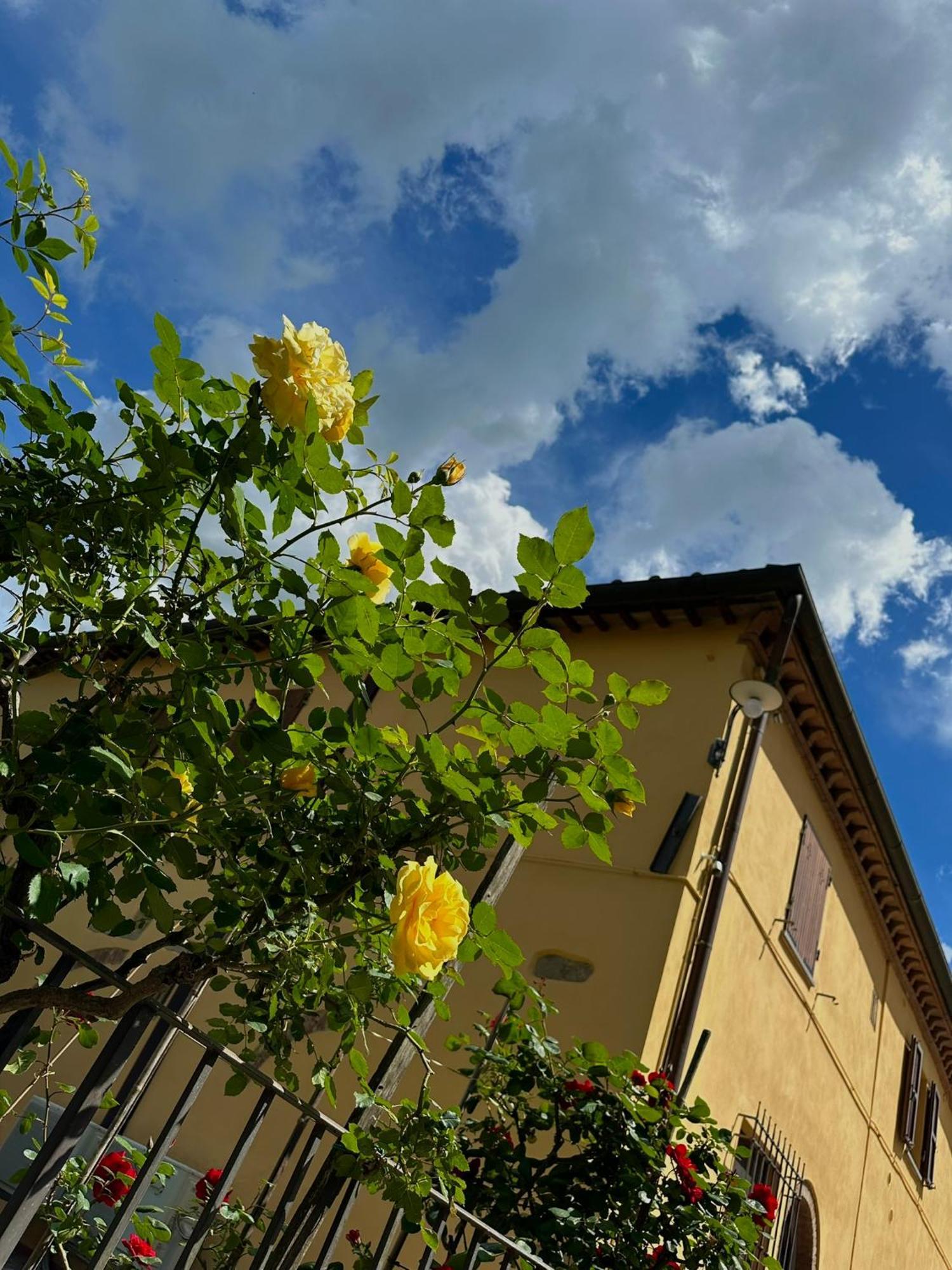 Casa Alle Vacche *