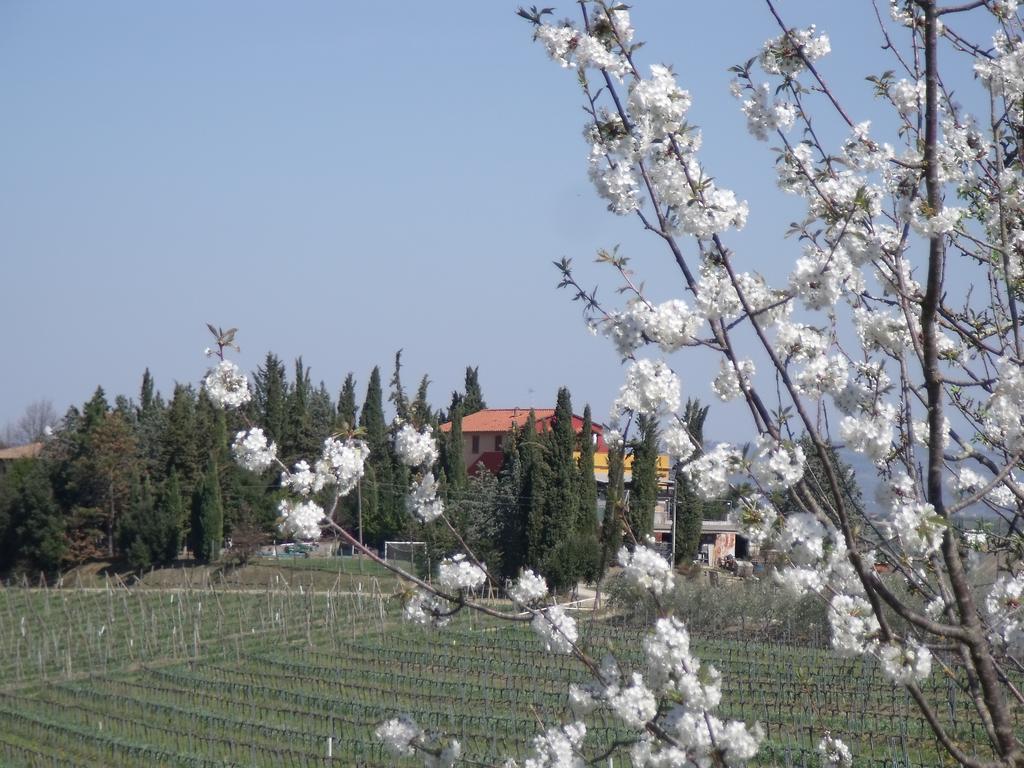 Casa Alle Vacche