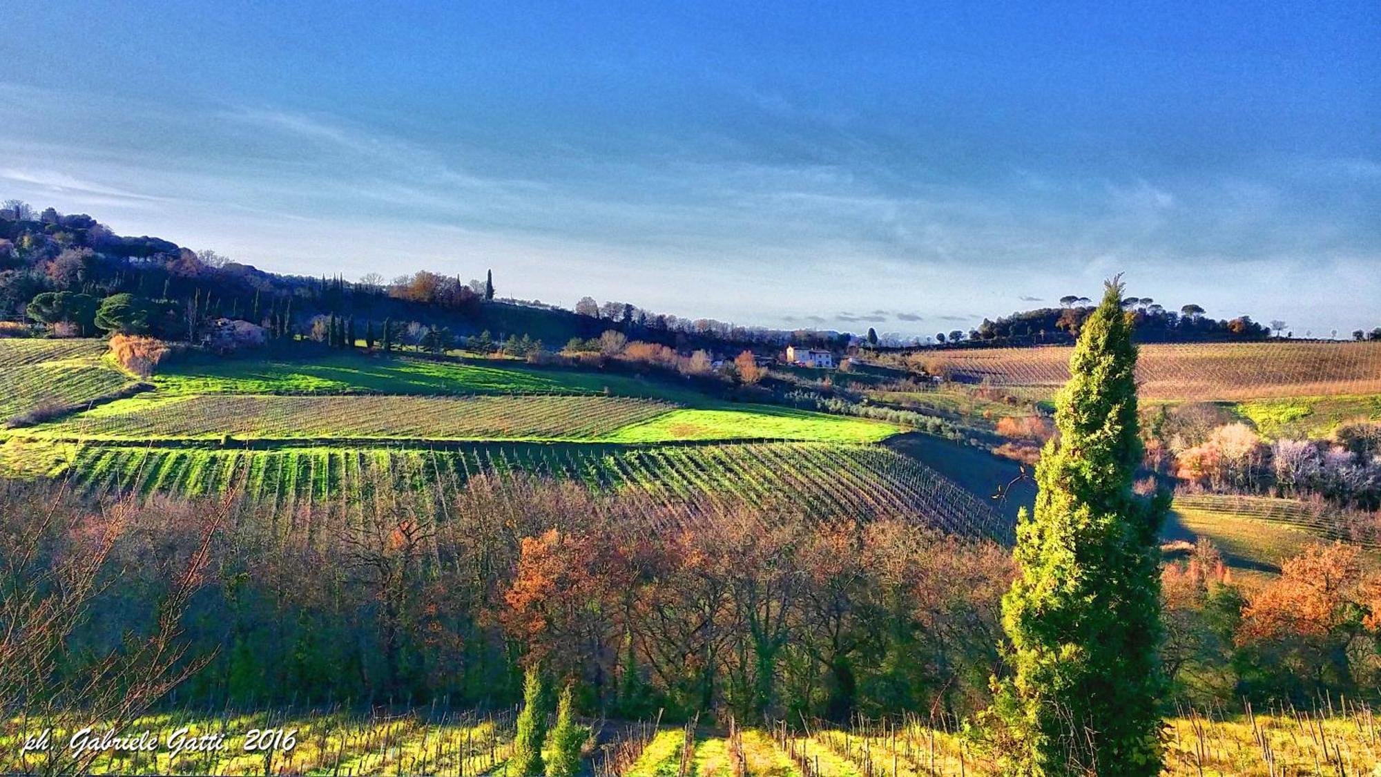 Casa Alle Vacche San Gimignano